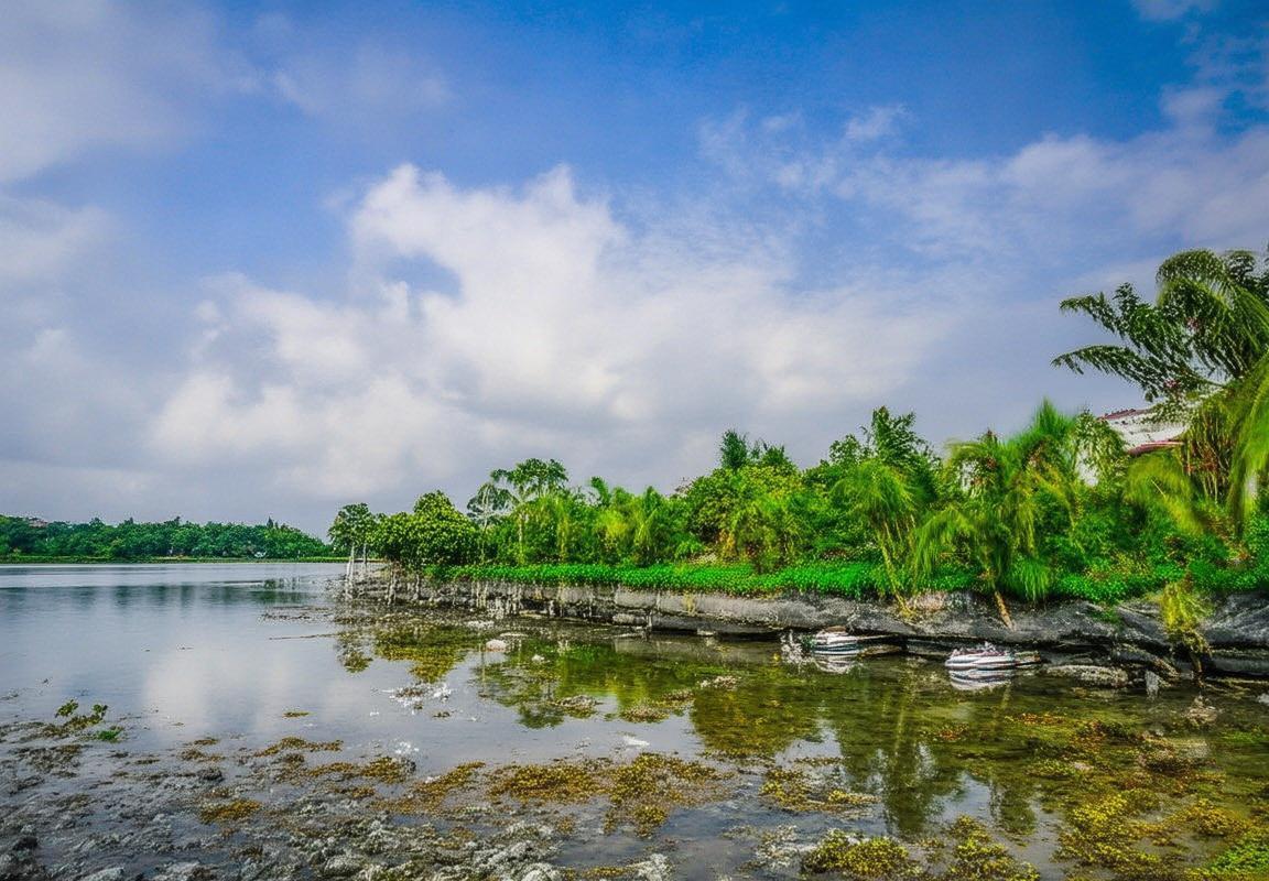 广东VS青岛篮球赛全面回顾与分析：巅峰对决背后的战术与心理较量(图2)